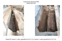 Cronica Cercetărilor Arheologice din România, Campania 2008. Raportul nr. 130