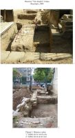 Cronica Cercetărilor Arheologice din România, Campania 2008. Raportul nr. 135