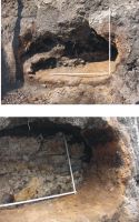Cronica Cercetărilor Arheologice din România, Campania 2008. Raportul nr. 141