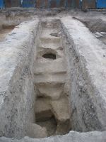 Cronica Cercetărilor Arheologice din România, Campania 2008. Raportul nr. 143