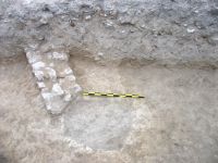 Cronica Cercetărilor Arheologice din România, Campania 2008. Raportul nr. 143