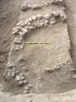 Cronica Cercetărilor Arheologice din România, Campania 2008. Raportul nr. 143