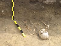 Cronica Cercetărilor Arheologice din România, Campania 2008. Raportul nr. 143