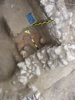 Cronica Cercetărilor Arheologice din România, Campania 2008. Raportul nr. 143