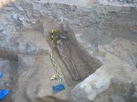 Cronica Cercetărilor Arheologice din România, Campania 2008. Raportul nr. 143