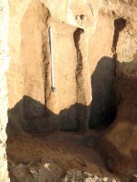 Cronica Cercetărilor Arheologice din România, Campania 2008. Raportul nr. 144