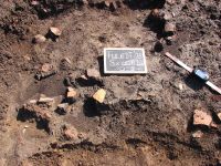 Cronica Cercetărilor Arheologice din România, Campania 2008. Raportul nr. 149