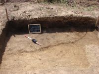 Cronica Cercetărilor Arheologice din România, Campania 2008. Raportul nr. 149
