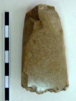 Cronica Cercetărilor Arheologice din România, Campania 2008. Raportul nr. 149
