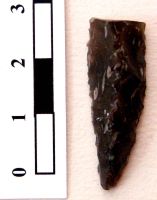 Cronica Cercetărilor Arheologice din România, Campania 2008. Raportul nr. 149