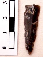 Cronica Cercetărilor Arheologice din România, Campania 2008. Raportul nr. 149