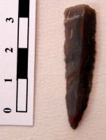 Cronica Cercetărilor Arheologice din România, Campania 2008. Raportul nr. 149