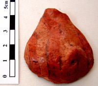 Cronica Cercetărilor Arheologice din România, Campania 2008. Raportul nr. 149