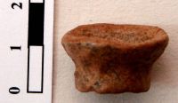 Cronica Cercetărilor Arheologice din România, Campania 2008. Raportul nr. 149