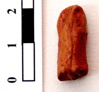 Cronica Cercetărilor Arheologice din România, Campania 2008. Raportul nr. 149