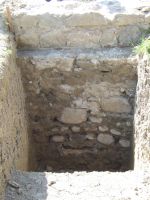 Cronica Cercetărilor Arheologice din România, Campania 2008. Raportul nr. 166