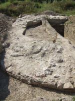 Cronica Cercetărilor Arheologice din România, Campania 2008. Raportul nr. 166