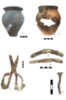 Cronica Cercetărilor Arheologice din România, Campania 2008. Raportul nr. 168