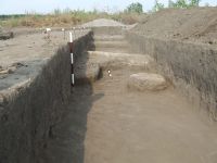 Cronica Cercetărilor Arheologice din România, Campania 2008. Raportul nr. 168