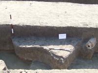 Cronica Cercetărilor Arheologice din România, Campania 2008. Raportul nr. 168
