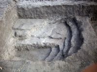 Cronica Cercetărilor Arheologice din România, Campania 2008. Raportul nr. 168