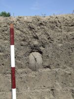Cronica Cercetărilor Arheologice din România, Campania 2008. Raportul nr. 168