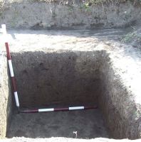 Cronica Cercetărilor Arheologice din România, Campania 2008. Raportul nr. 168