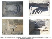 Cronica Cercetărilor Arheologice din România, Campania 2008. Raportul nr. 168