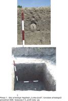 Cronica Cercetărilor Arheologice din România, Campania 2008. Raportul nr. 168