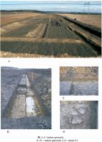 Cronica Cercetărilor Arheologice din România, Campania 2008. Raportul nr. 179