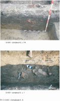 Cronica Cercetărilor Arheologice din România, Campania 2008. Raportul nr. 179