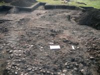 Cronica Cercetărilor Arheologice din România, Campania 2008. Raportul nr. 199