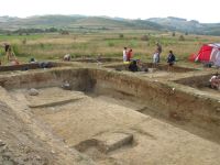 Cronica Cercetărilor Arheologice din România, Campania 2008. Raportul nr. 203