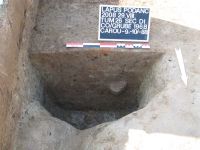 Cronica Cercetărilor Arheologice din România, Campania 2008. Raportul nr. 203