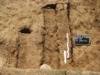 Cronica Cercetărilor Arheologice din România, Campania 2008. Raportul nr. 203