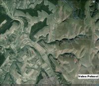 Cronica Cercetărilor Arheologice din România, Campania 2009. Raportul nr. 173