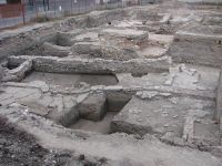 Cronica Cercetărilor Arheologice din România, Campania 2009. Raportul nr. 97