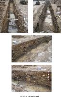 Cronica Cercetărilor Arheologice din România, Campania 2009. Raportul nr. 102