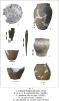 Cronica Cercetărilor Arheologice din România, Campania 2009. Raportul nr. 103