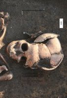 Cronica Cercetărilor Arheologice din România, Campania 2009. Raportul nr. 106