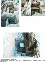 Cronica Cercetărilor Arheologice din România, Campania 2009. Raportul nr. 109