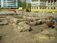 Cronica Cercetărilor Arheologice din România, Campania 2009. Raportul nr. 121