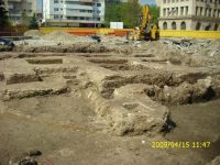 Cronica Cercetărilor Arheologice din România, Campania 2009. Raportul nr. 121