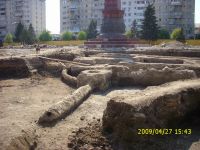 Cronica Cercetărilor Arheologice din România, Campania 2009. Raportul nr. 121