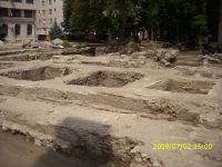 Cronica Cercetărilor Arheologice din România, Campania 2009. Raportul nr. 121