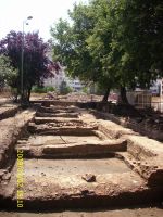 Cronica Cercetărilor Arheologice din România, Campania 2009. Raportul nr. 121