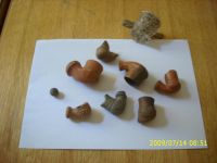 Cronica Cercetărilor Arheologice din România, Campania 2009. Raportul nr. 121