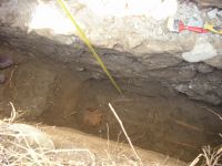 Cronica Cercetărilor Arheologice din România, Campania 2009. Raportul nr. 122