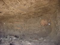 Cronica Cercetărilor Arheologice din România, Campania 2009. Raportul nr. 122