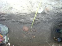 Cronica Cercetărilor Arheologice din România, Campania 2009. Raportul nr. 122